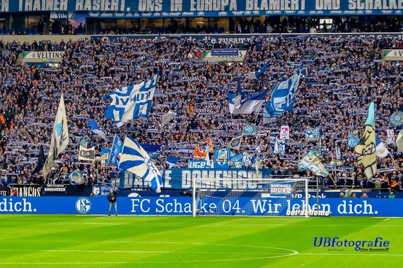 FC Schalke 04 vs RB Leipzig (0-1) (17)