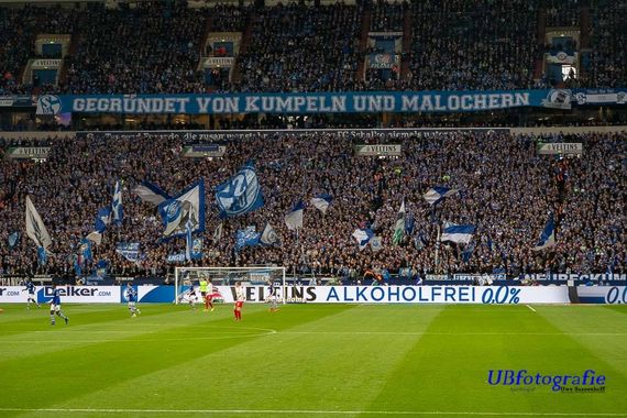 FC Schalke 04 vs RB Leipzig (0-1) (23)