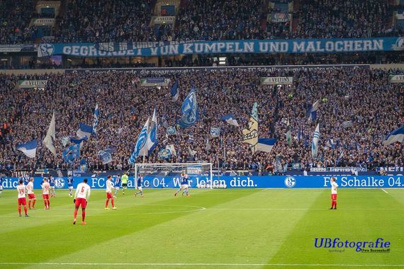 FC Schalke 04 vs RB Leipzig (0-1) (29)