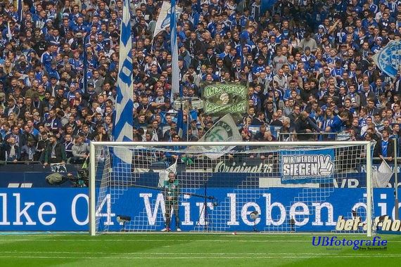 FC Schalke 04 vs Eintracht Frankfurt (1-2) (8)