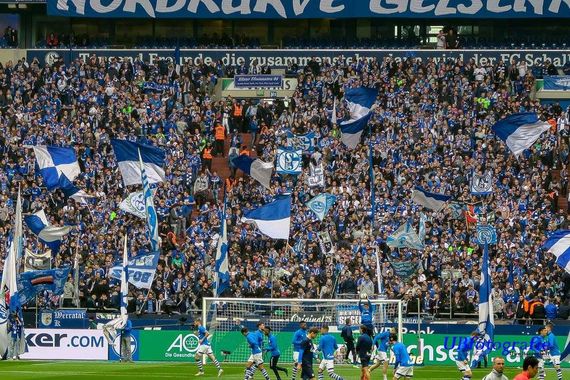 FC Schalke 04 vs Eintracht Frankfurt (1-2) (10)