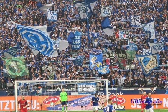 FC Schalke 04 vs Eintracht Frankfurt (1-2) (16)