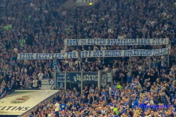 FC Schalke 04 vs TSG Hoffenheim (2-5) (2)