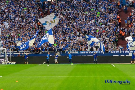 FC Schalke 04 vs TSG Hoffenheim (2-5) (3)