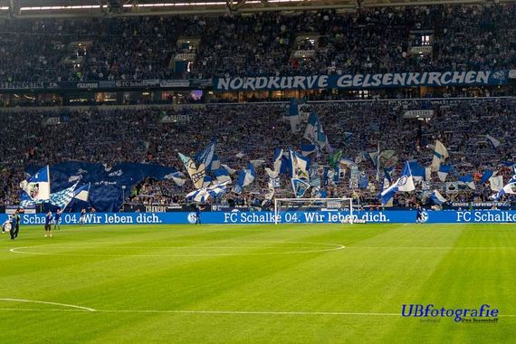 FC Schalke 04 vs TSG Hoffenheim (2-5) (8)