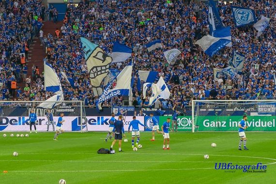 FC Schalke 04 vs TSG Hoffenheim (2-5) (10)