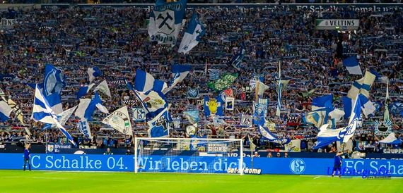FC Schalke 04 vs TSG Hoffenheim (2-5) (12)