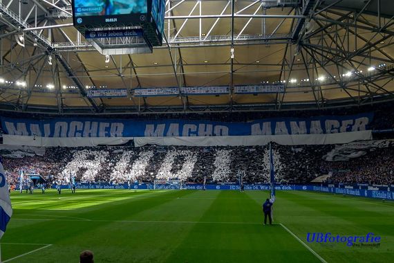 FC Schalke 04 vs FC Augsburg (0-0) (5)