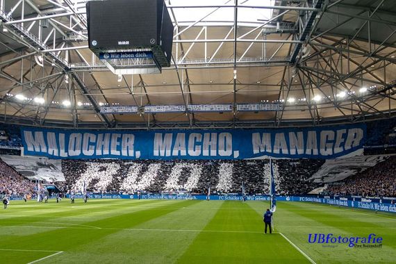 FC Schalke 04 vs FC Augsburg (0-0) (6)