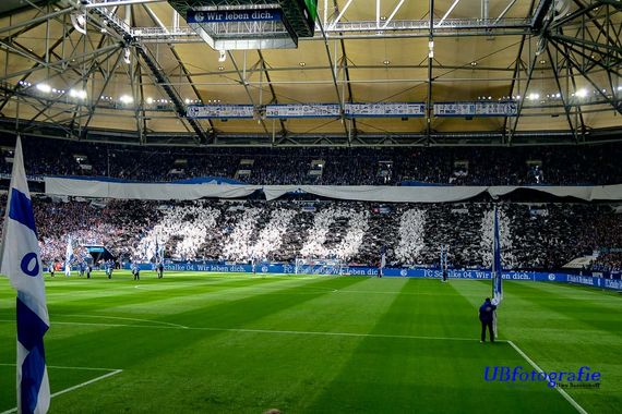 FC Schalke 04 vs FC Augsburg (0-0) (15)