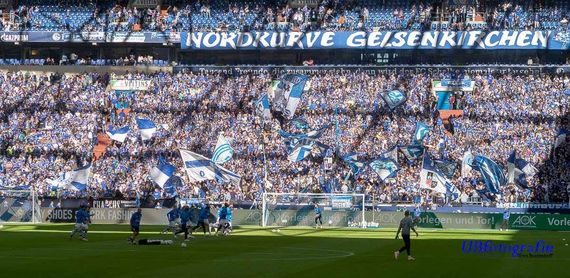 FC Schalke 04 vs 1. FSV Mainz 05 (1-0) (4)