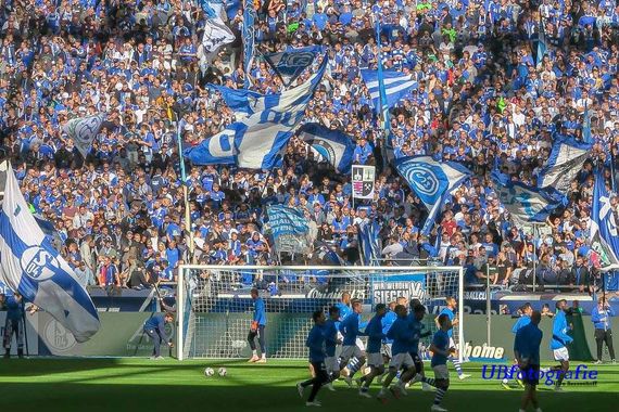 FC Schalke 04 vs 1. FSV Mainz 05 (1-0) (7)