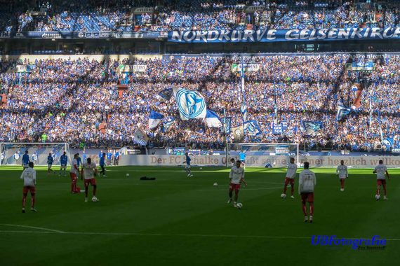 FC Schalke 04 vs 1. FSV Mainz 05 (1-0) (12)