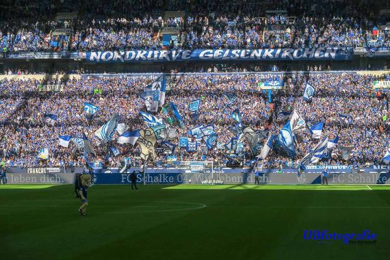 FC Schalke 04 vs 1. FSV Mainz 05 (1-0) (15)