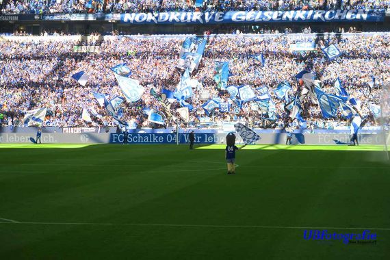 FC Schalke 04 vs 1. FSV Mainz 05 (1-0) (16)