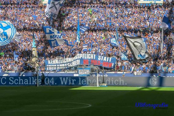 FC Schalke 04 vs 1. FSV Mainz 05 (1-0) (19)