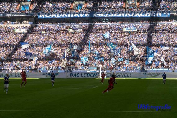 FC Schalke 04 vs 1. FSV Mainz 05 (1-0) (25)
