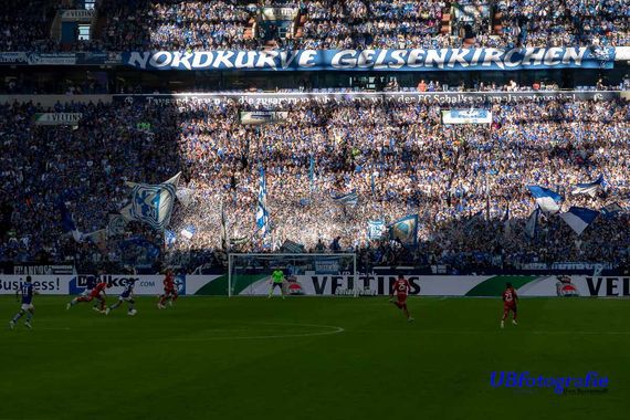 FC Schalke 04 vs 1. FSV Mainz 05 (1-0) (28)