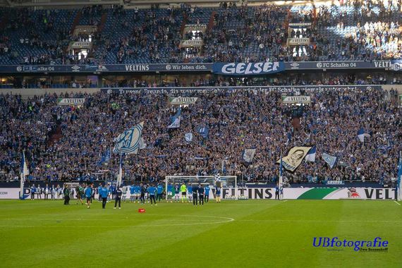 FC Schalke 04 vs 1. FSV Mainz 05 (1-0) (30)
