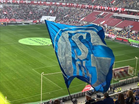 Fortuna Düsseldorf vs FC Schalke 04 (0-2) (3)