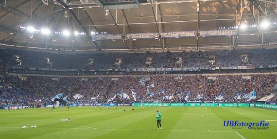 FC Schalke 04 vs Werder Bremen (0-2) (4)
