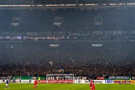 FC Schalke 04 vs Fortuna Düsseldorf (4-1) (10)