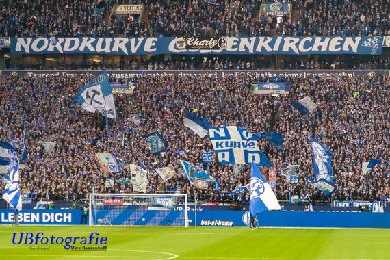 FC Schalke 04 vs Fortuna Düsseldorf (3-3) (7)