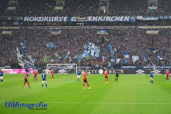 FC Schalke 04 vs Fortuna Düsseldorf (3-3) (8)
