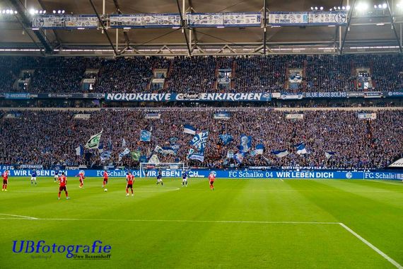 FC Schalke 04 vs Fortuna Düsseldorf (3-3) (9)