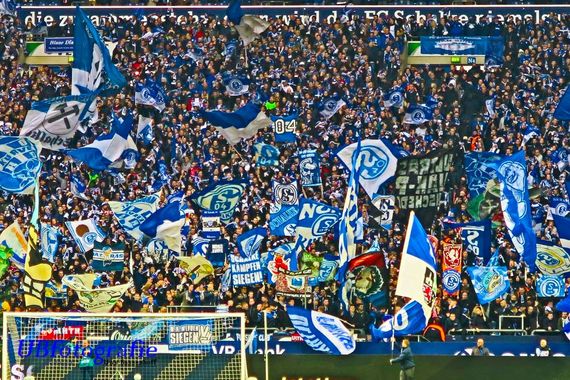 FC Schalke 04 vs Fortuna Düsseldorf (3-3) (11)