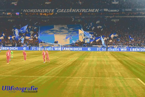 FC Schalke 04 vs 1. FC Union Berlin (2-1) (8)