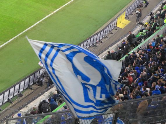 VfL Wolfsburg vs FC Schalke 04 (1-1) (4)
