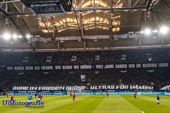 FC Schalke 04 vs SC Freiburg (2-2) (3)