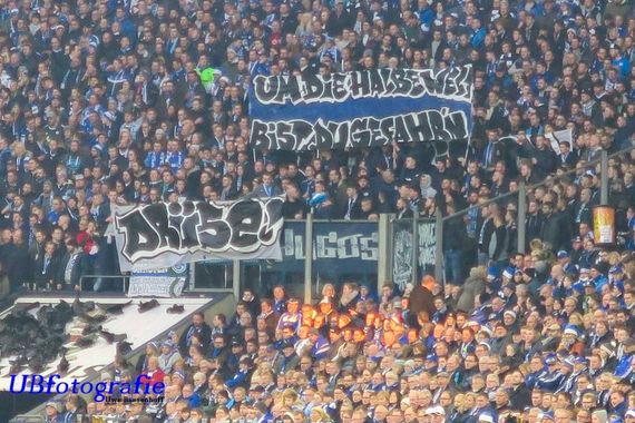 FC Schalke 04 vs SC Freiburg (2-2) (7)