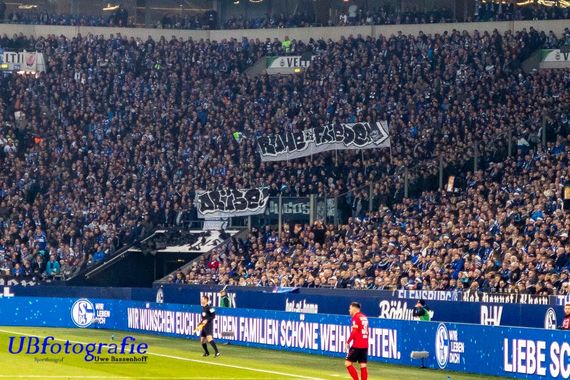 FC Schalke 04 vs SC Freiburg (2-2) (11)