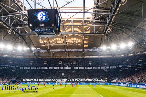 FC Schalke 04 vs SC Freiburg (2-2) (15)