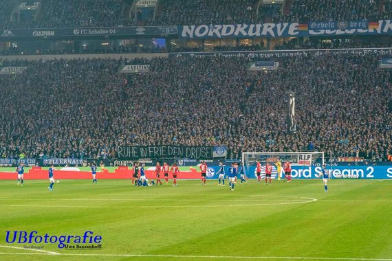 FC Schalke 04 vs SC Freiburg (2-2) (22)