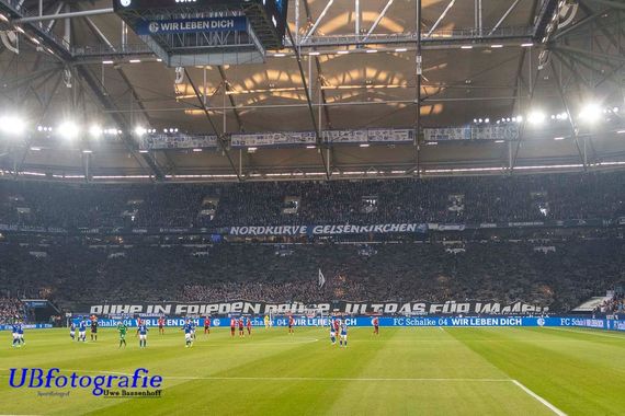FC Schalke 04 vs SC Freiburg (2-2) (24)