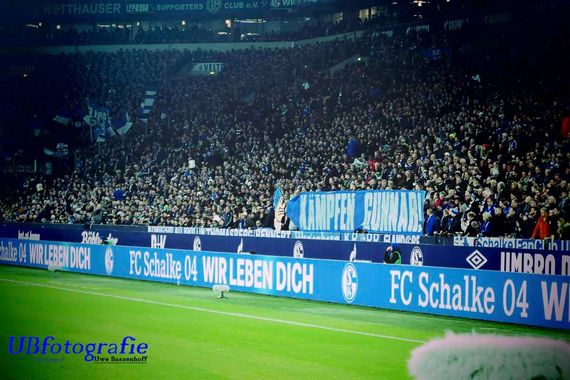 FC Schalke 04 vs Borussia Mönchengladbach (2-0) (12)