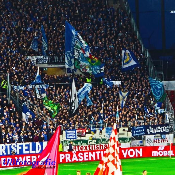 1. FSV Mainz 05 vs FC Schalke 04 (0-0) (13)