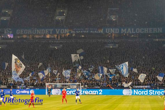 FC Schalke 04 vs RB Leipzig (0-5) (6)
