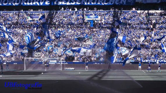 FC Schalke 04 vs Hertha BSC (3-0) (7)