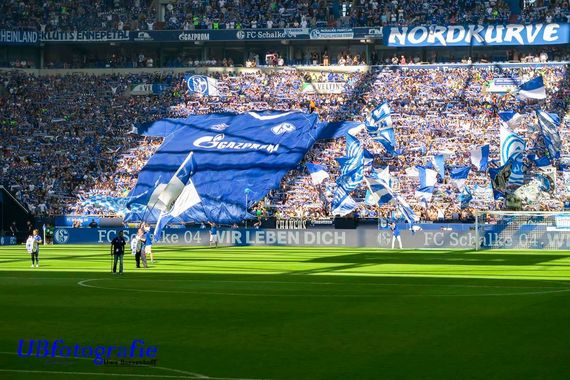 FC Schalke 04 vs Hertha BSC (3-0) (10)