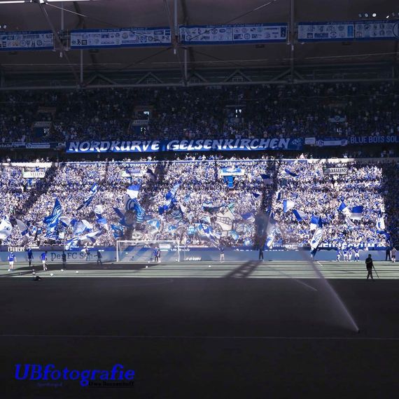 FC Schalke 04 vs Hertha BSC (3-0) (19)