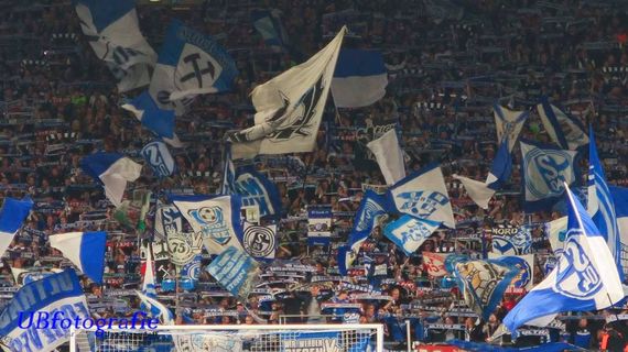 FC Schalke 04 vs 1. FSV Mainz 05 (2-1) (1)