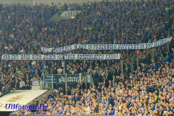 FC Schalke 04 vs 1. FSV Mainz 05 (2-1) (12)