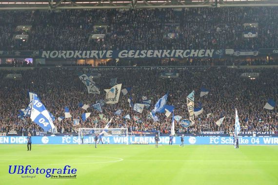 FC Schalke 04 vs 1. FSV Mainz 05 (2-1) (13)