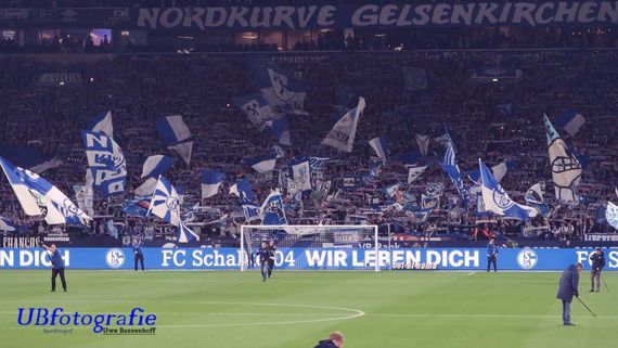 FC Schalke 04 vs 1. FSV Mainz 05 (2-1) (14)
