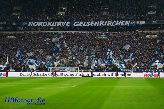 FC Schalke 04 vs 1. FC Köln (1-1) (2)