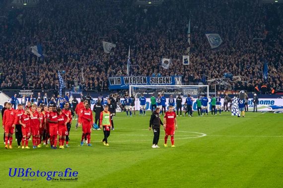 FC Schalke 04 vs 1. FC Köln (1-1) (3)